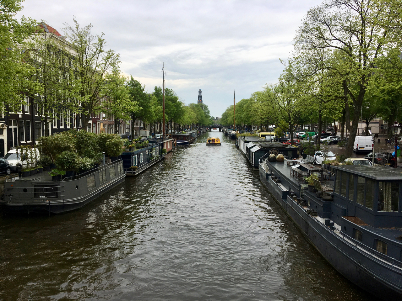 Hausboote sind begehrte Immobilien in Amsterdam